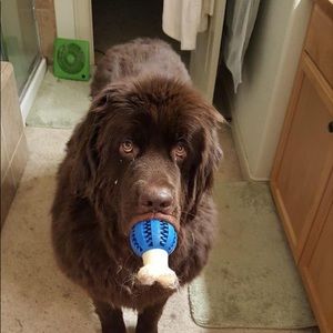 Meet your Posher, Mary